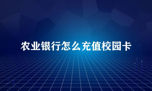 农业银行怎么充值校园卡