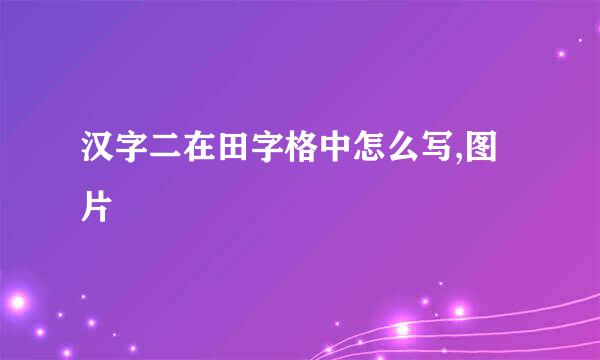 汉字二在田字格中怎么写,图片