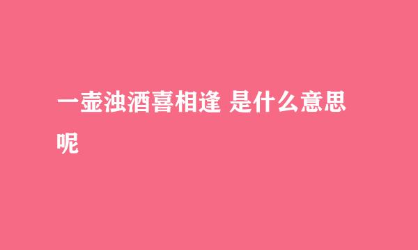 一壶浊酒喜相逢 是什么意思呢