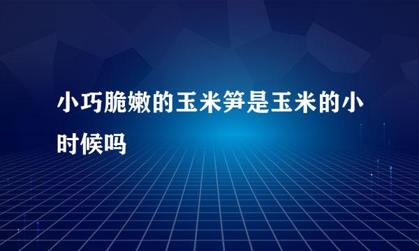 小巧脆嫩的玉米笋是玉米的小时候吗