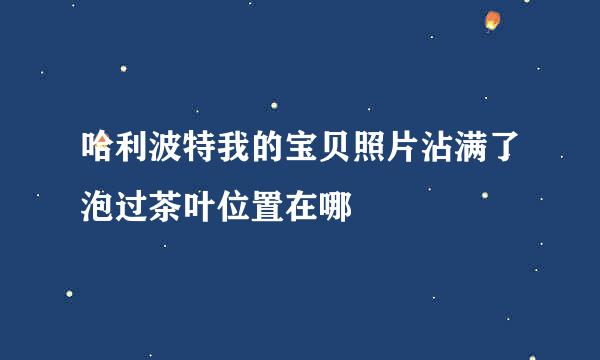 哈利波特我的宝贝照片沾满了泡过茶叶位置在哪