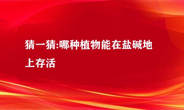 猜一猜:哪种植物能在盐碱地上存活