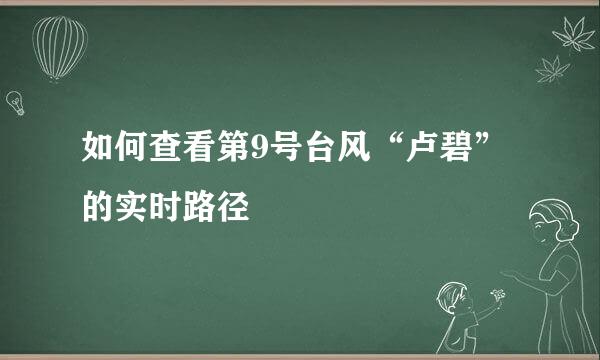 如何查看第9号台风“卢碧”的实时路径