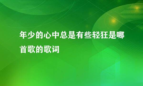 年少的心中总是有些轻狂是哪首歌的歌词
