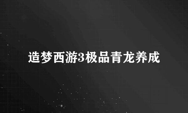 造梦西游3极品青龙养成