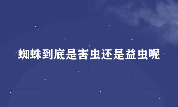 蜘蛛到底是害虫还是益虫呢