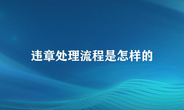 违章处理流程是怎样的