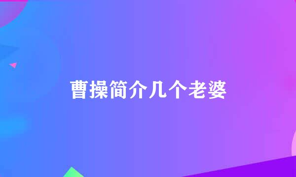 曹操简介几个老婆