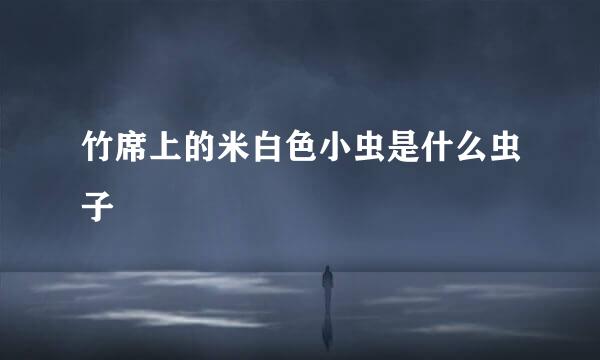 竹席上的米白色小虫是什么虫子
