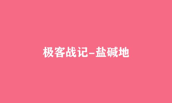极客战记-盐碱地