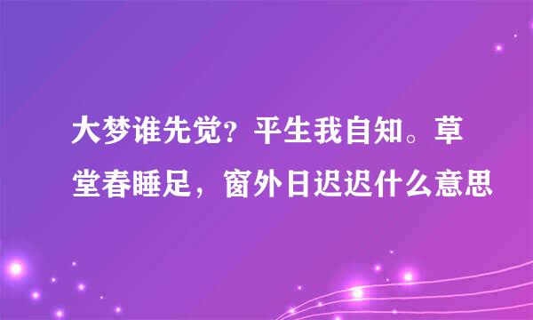 大梦谁先觉?平生我自知。草堂春睡足,窗外日迟迟什么意思