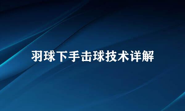 羽球下手击球技术详解