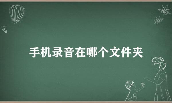 手机录音在哪个文件夹