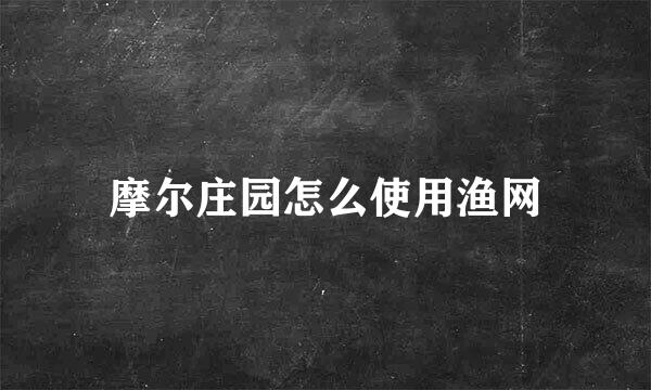 摩尔庄园怎么使用渔网