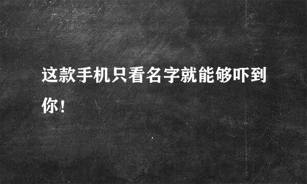 这款手机只看名字就能够吓到你！