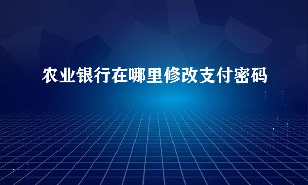 农业银行在哪里修改支付密码