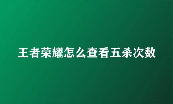 王者荣耀怎么查看五杀次数
