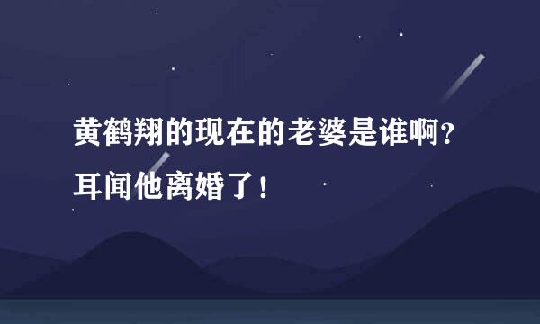 黄鹤翔的现在的老婆是谁啊?耳闻他离婚了!