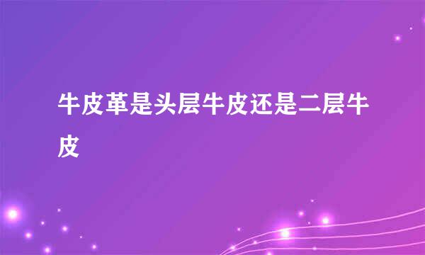牛皮革是头层牛皮还是二层牛皮