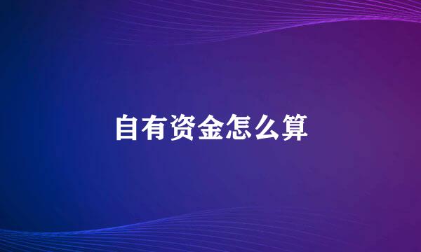 自有资金怎么算