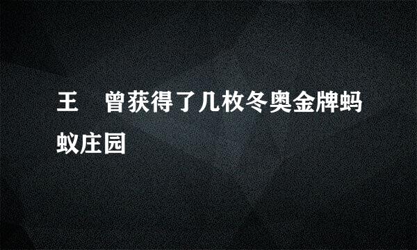 王濛曾获得了几枚冬奥金牌蚂蚁庄园