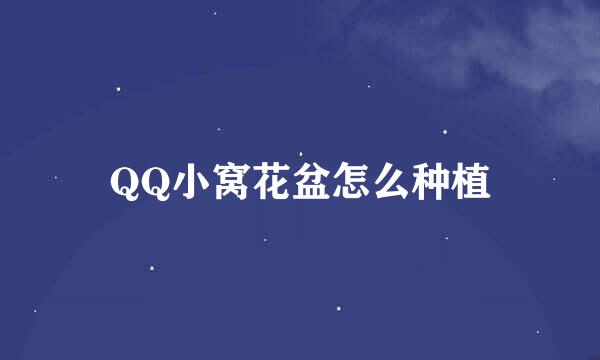 QQ小窝花盆怎么种植