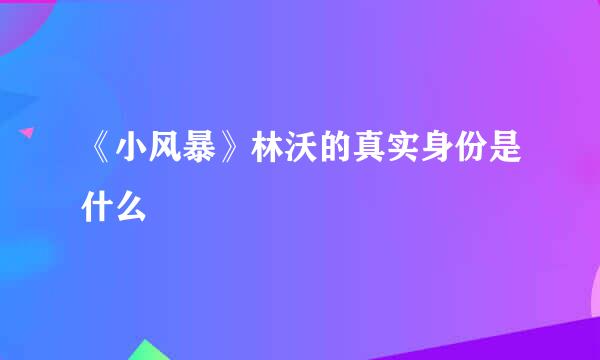 《小风暴》林沃的真实身份是什么