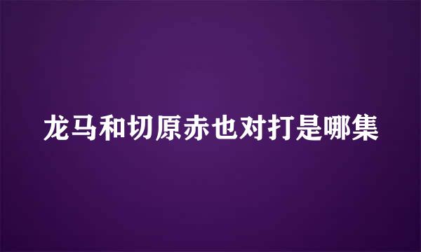 龙马和切原赤也对打是哪集