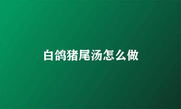 白鸽猪尾汤怎么做