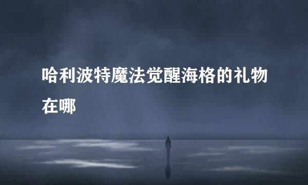 哈利波特魔法觉醒海格的礼物在哪