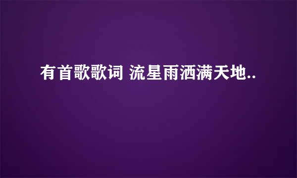 有首歌歌词 流星雨洒满天地..