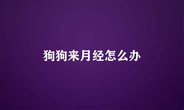 狗狗来月经怎么办