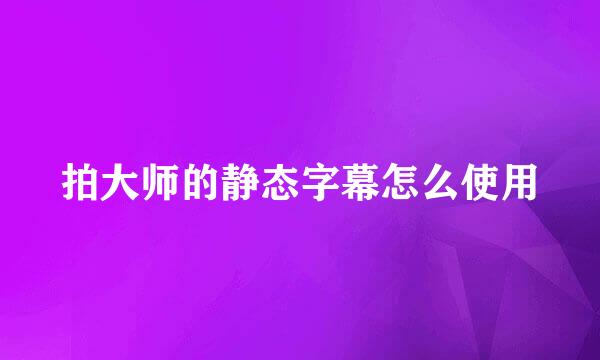 拍大师的静态字幕怎么使用