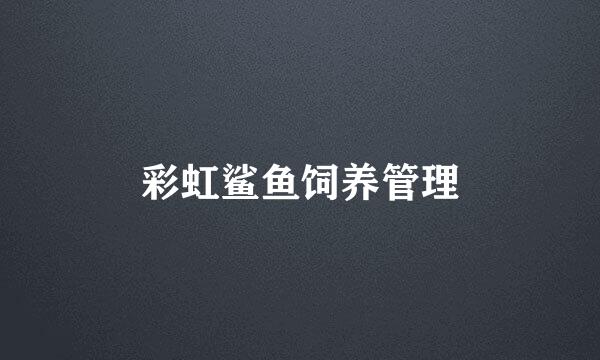 彩虹鲨鱼饲养管理