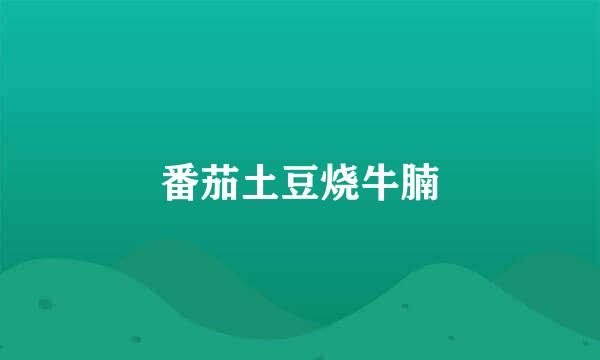 番茄土豆烧牛腩