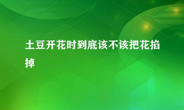 土豆开花时到底该不该把花掐掉