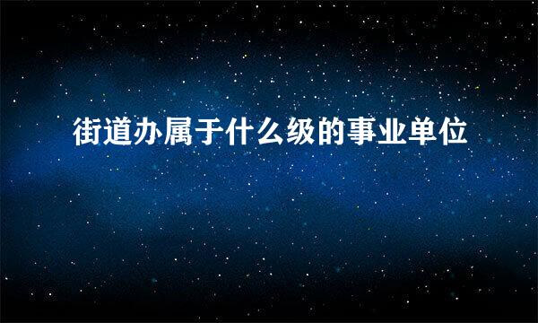 街道办属于什么级的事业单位