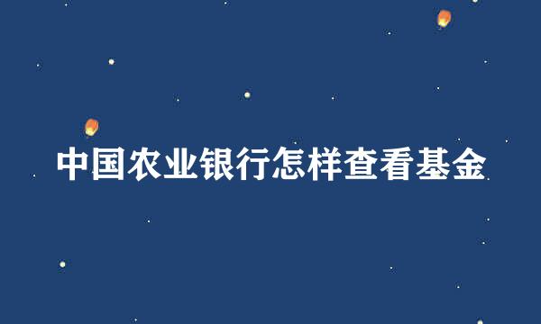 中国农业银行怎样查看基金