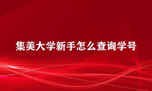 集美大学新手怎么查询学号