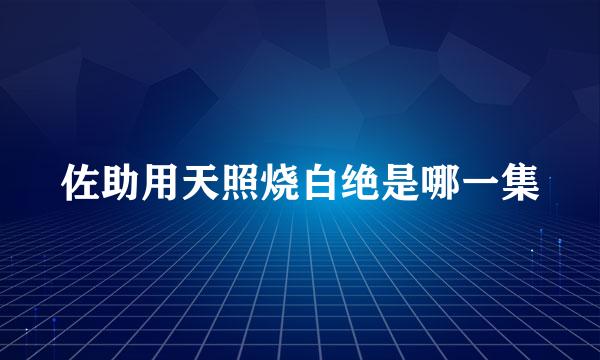 佐助用天照烧白绝是哪一集