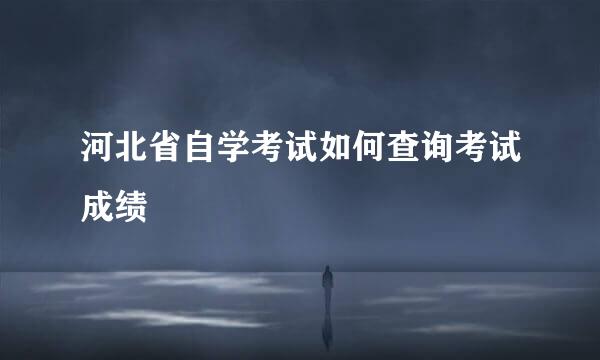 河北省自学考试如何查询考试成绩