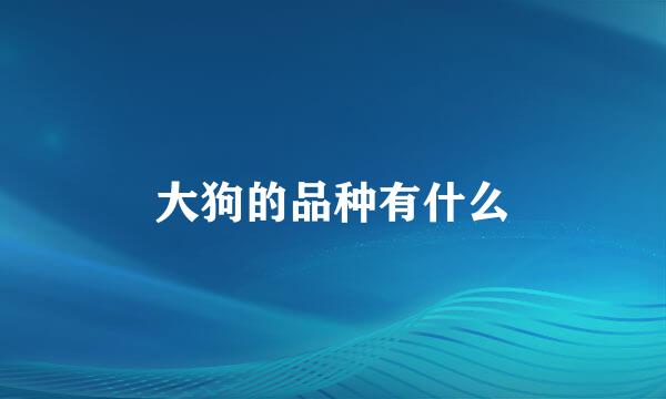 大狗的品种有什么