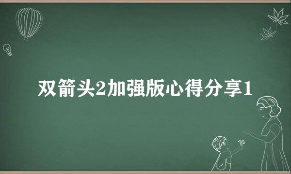 双箭头2加强版心得分享1