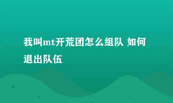 我叫mt开荒团怎么组队 如何退出队伍