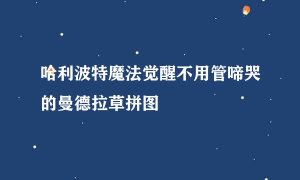 哈利波特魔法觉醒不用管啼哭的曼德拉草拼图