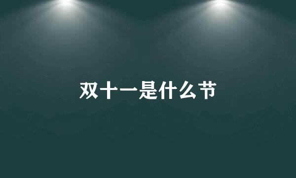 双十一是什么节
