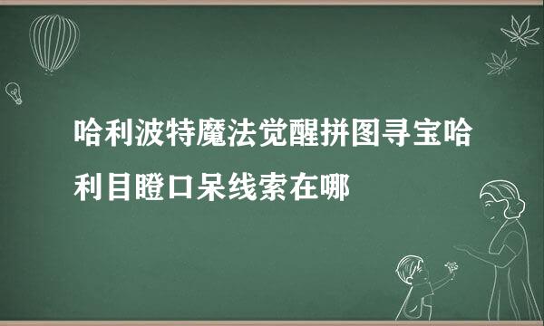 哈利波特魔法觉醒拼图寻宝哈利目瞪口呆线索在哪
