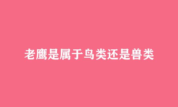 老鹰是属于鸟类还是兽类