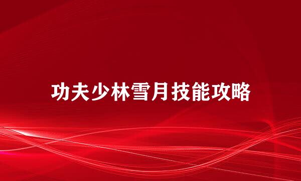 功夫少林雪月技能攻略