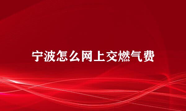 宁波怎么网上交燃气费